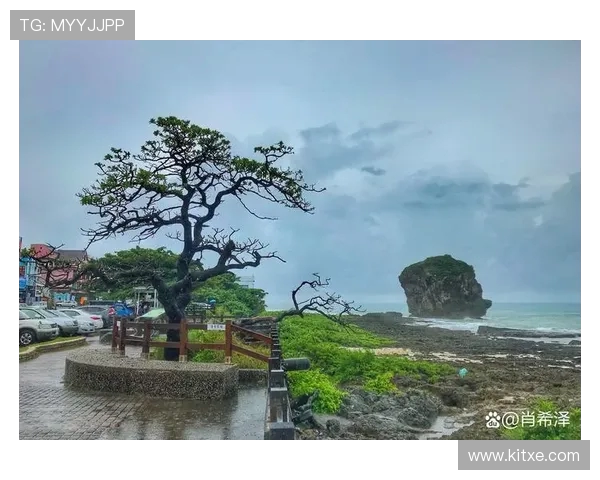 小扑震撼全网!这部生态纪录片让无数人泪目 小扑震撼全网!这部生态纪录片让无数人泪目